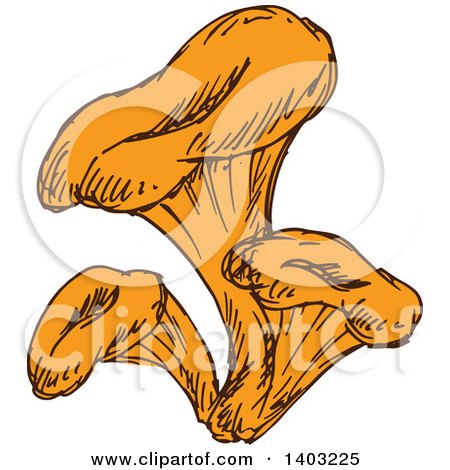 Clipart of Sketched Mushrooms - Royalty Free Vector Illustration by Vector Tradition SM