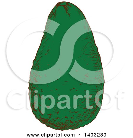 Clipart of a Sketched Avocado - Royalty Free Vector Illustration by Vector Tradition SM