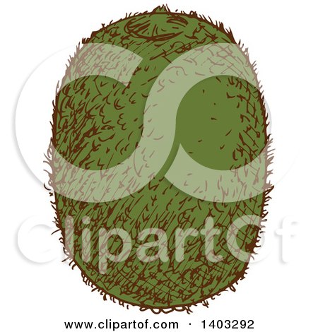 Clipart of a Sketched Kiwi Fruit - Royalty Free Vector Illustration by Vector Tradition SM