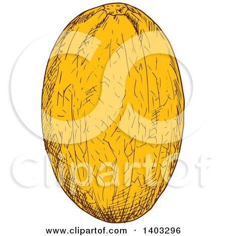 Clipart of a Sketched Canary Melon - Royalty Free Vector Illustration by Vector Tradition SM