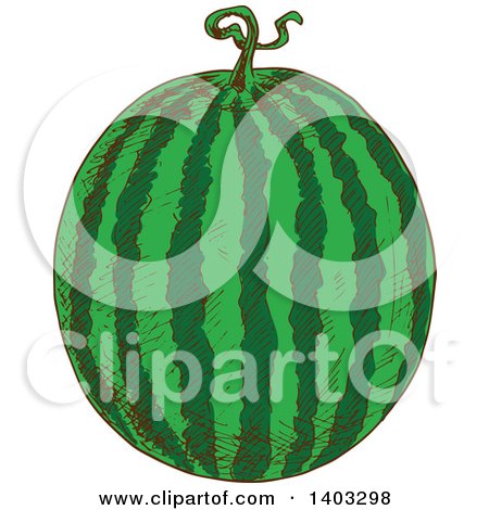 Clipart of a Sketched Watermelon - Royalty Free Vector Illustration by Vector Tradition SM