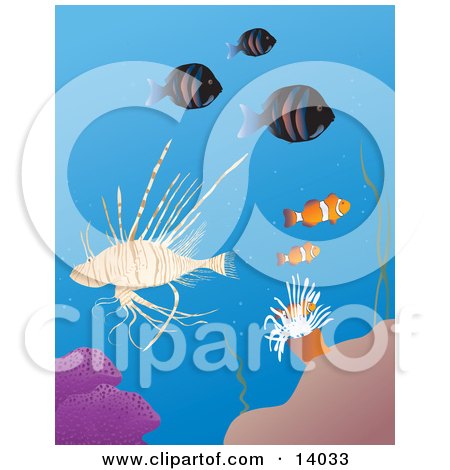 Lionfish, Clownfish and Anemone With Other Fish on a Tropical Reef Clipart Illustration by Rasmussen Images