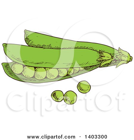 Clipart of Sketched Peas - Royalty Free Vector Illustration by Vector Tradition SM