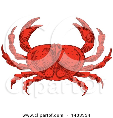 Clipart of a Sketched Red Crab - Royalty Free Vector Illustration by Vector Tradition SM