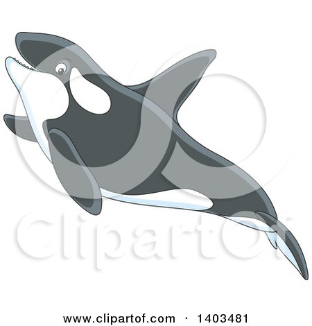 Clipart of a Cute Killer Whale Orca Swimming - Royalty Free Vector Illustration by Alex Bannykh