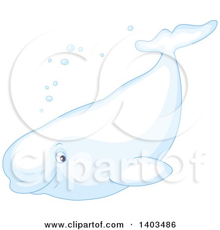 Clipart of a White Beluga Whale Swimming - Royalty Free Vector Illustration by Alex Bannykh