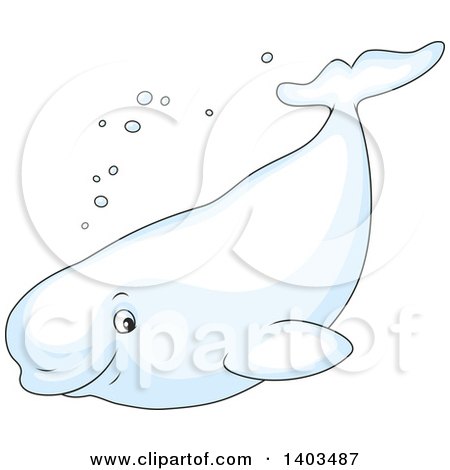 Clipart of a Cute Happy Beluga Whale Swimming - Royalty Free Vector Illustration by Alex Bannykh
