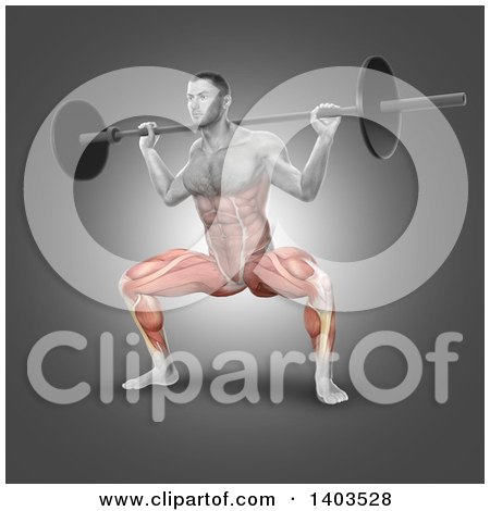 Clipart of a 3d Fit Anatomical Man Doing Barbell Plie Squats, with Visible Lower Body Muscles, on Gray - Royalty Free Illustration by KJ Pargeter