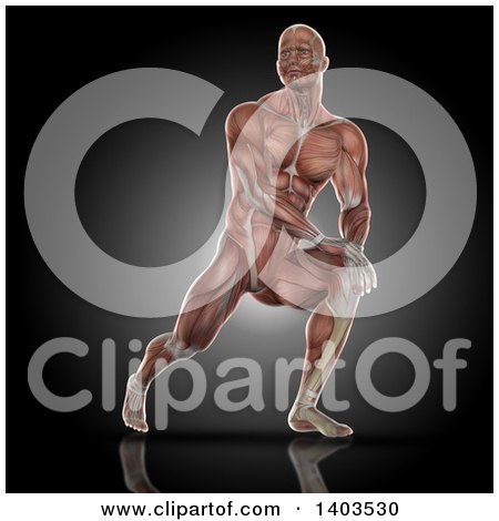 Clipart of a 3d Fit Anatomical Man Stretching, with Visible Muscles, on Black - Royalty Free Illustration by KJ Pargeter
