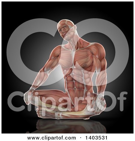 Clipart of a 3d Fit Anatomical Man Stretching His Neck, with Visible Muscles, on Black - Royalty Free Illustration by KJ Pargeter