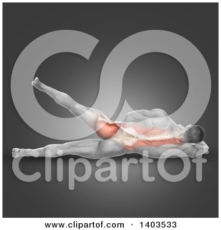 Clipart of a 3d Fit Anatomical Man Doing the Lying Hip Abduction, with Visible Muscles, on Gray - Royalty Free Illustration by KJ Pargeter