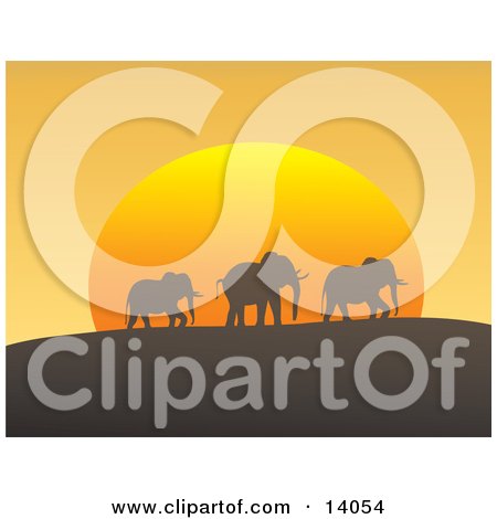 Three African Elephants in a Line Silhouetted While Passing on a Hill in Front of the Orange Sun at Dusk Clipart Illustration by Rasmussen Images
