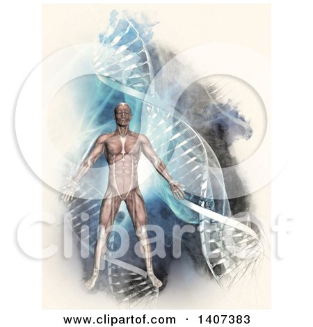 Clipart of a 3d Man with Visible Muscles over Dna Strands - Royalty Free Illustration by KJ Pargeter