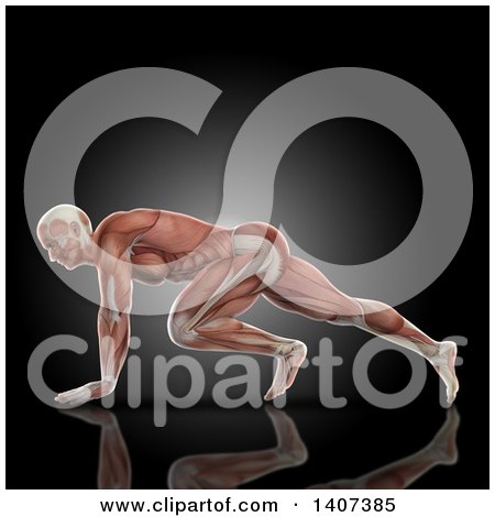 Clipart of a 3d Anatomical Man in a Press up Pose, with Visible Muscles, on Black - Royalty Free Illustration by KJ Pargeter