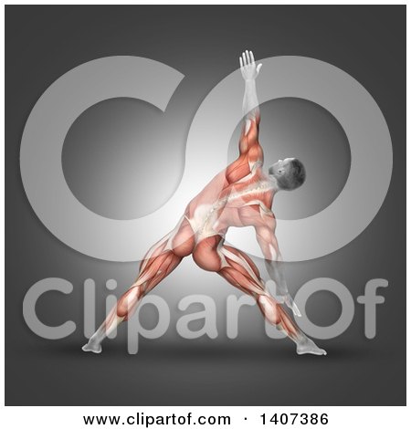 Clipart of a 3d Anatomical Man in a Triangle Pose, with Visible Muscles, on Gray - Royalty Free Illustration by KJ Pargeter