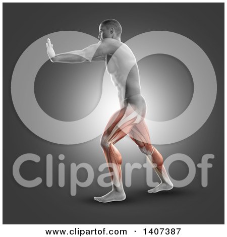 Clipart of a 3d Anatomical Man in a Standing Gastroc-nemius Stretch, with Visible Leg Muscles, on Gray - Royalty Free Illustration by KJ Pargeter