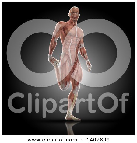 Clipart of a 3d Fit Anatomical Man Stretching a Leg, with Visible Muscles, on Black - Royalty Free Illustration by KJ Pargeter