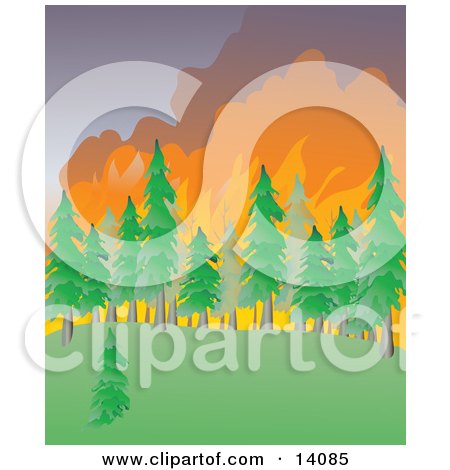Wildfire Burning an Evergreen Forest Natural Hazard Clipart Illustration by Rasmussen Images