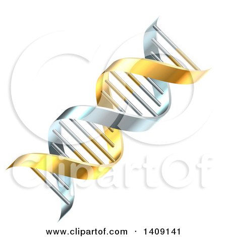 Clipart of a 3d Gold and Silver Dna Double Helix - Royalty Free Vector Illustration by AtStockIllustration