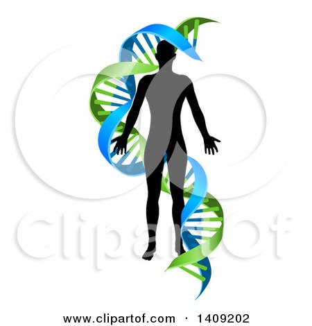 Clipart of a Black Silhoeutted Person in a Blue and Green Double Helix Dna Strand - Royalty Free Vector Illustration by AtStockIllustration