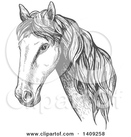 Clipart of a Dark Gray Sketched Horse Head - Royalty Free Vector Illustration by Vector Tradition SM