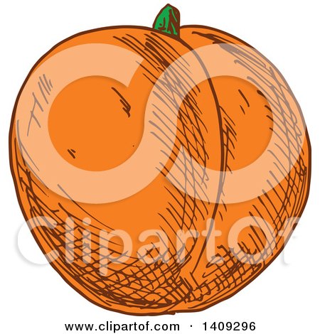 Clipart of a Sketched Apricot - Royalty Free Vector Illustration by Vector Tradition SM