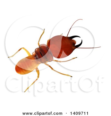 Clipart of a 3d Termite from Above, on a White Background - Royalty Free Illustration by Leo Blanchette