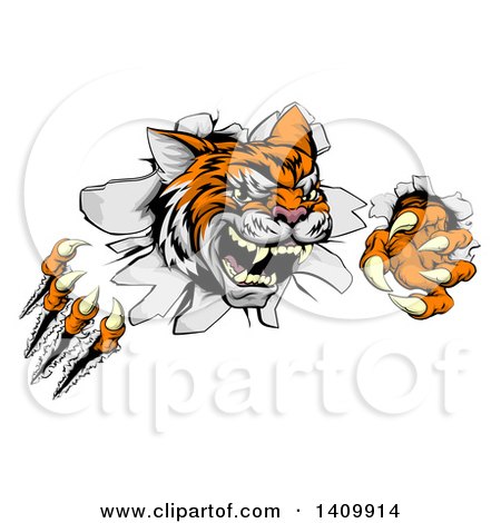Clipart of a Vicious Tiger Mascot Slashing Through a Wall - Royalty Free Vector Illustration by AtStockIllustration