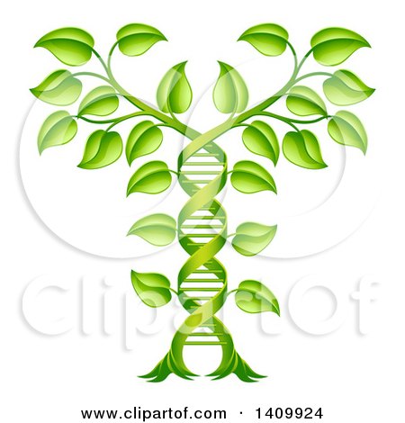 Clipart of a Gradient Green Plant Forming a Dna Caduceus - Royalty Free Vector Illustration by AtStockIllustration
