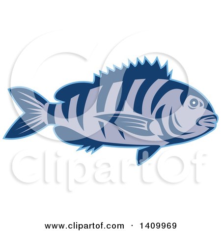 Clipart of a Retro Swimming Sheepshead Fish - Royalty Free Vector Illustration by patrimonio