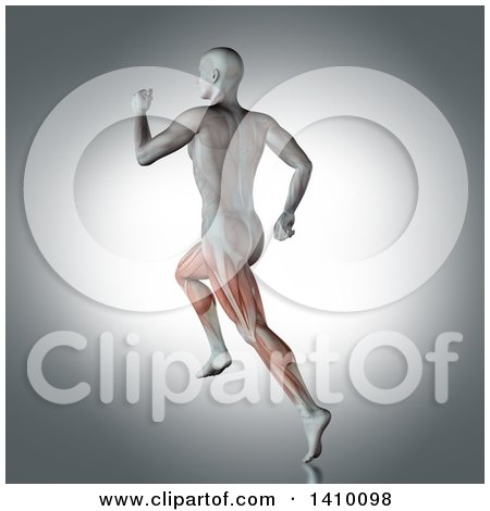 Clipart of a 3d Anatomical Man with Visible Leg Muscles, Running, on a Gray Background - Royalty Free Illustration by KJ Pargeter