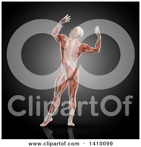 Clipart of a Rear View of a 3d Male Body Builder Posing, with Visible Muscles, on Gray - Royalty Free Illustration by KJ Pargeter