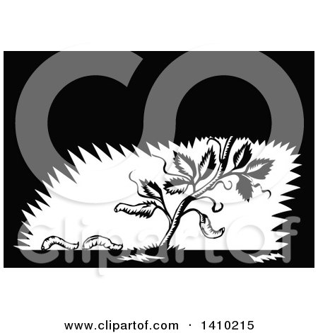 Clipart of a Retro Black and White Woodcut Plant with Fallen Leaves Turning into Maggots - Royalty Free Vector Illustration by patrimonio