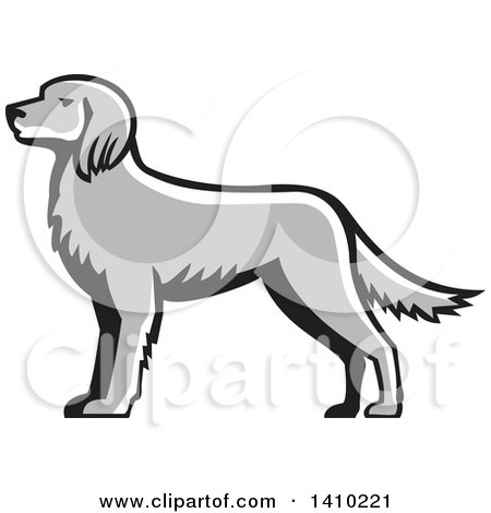 Clipart of a Retro Grayscale English Setter Dog - Royalty Free Vector Illustration by patrimonio