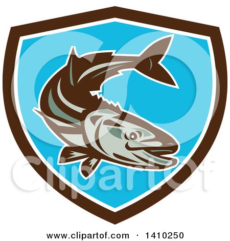 Clipart of a Retro Cobia Fish in a Brown White and Blue Shield - Royalty Free Vector Illustration by patrimonio