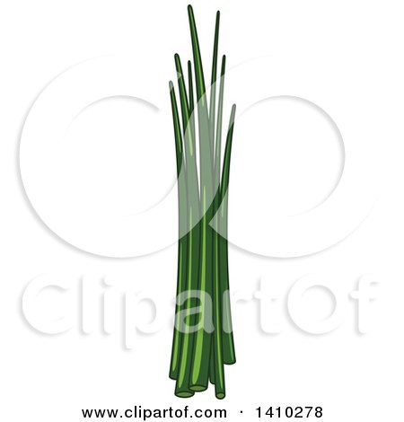Clipart of a Culinary Herb Spice - Chives - Royalty Free Vector Illustration by Vector Tradition SM
