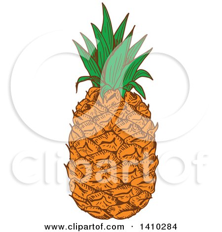 Clipart of a Sketched Pineapple - Royalty Free Vector Illustration by Vector Tradition SM