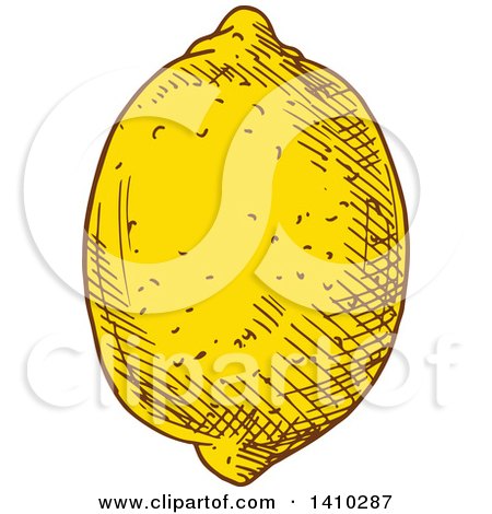 Clipart of a Sketched Lemon - Royalty Free Vector Illustration by Vector Tradition SM