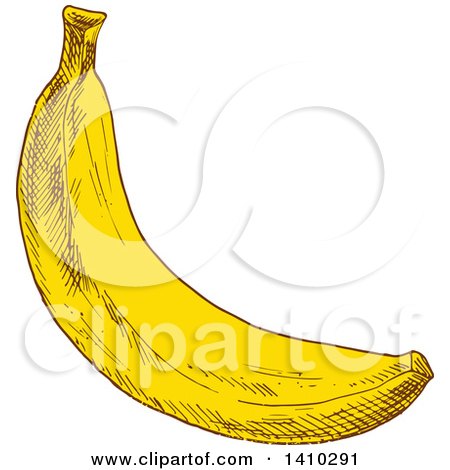 Clipart of a Sketched Banana - Royalty Free Vector Illustration by Vector Tradition SM