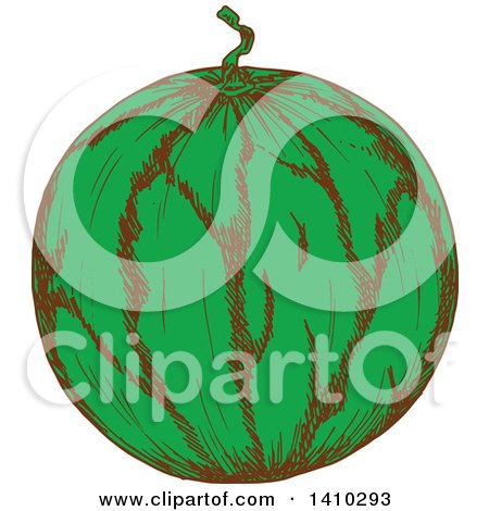 Clipart of a Sketched Watermelon - Royalty Free Vector Illustration by Vector Tradition SM
