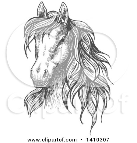 Clipart of a Gray Sketched Horse Head - Royalty Free Vector Illustration by Vector Tradition SM