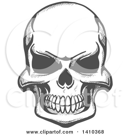 Clipart of a Gray Sketched Human Skull - Royalty Free Vector Illustration by Vector Tradition SM