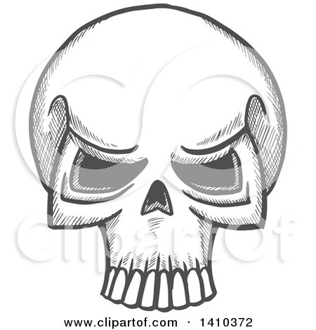 Clipart of a Gray Sketched Human Skull - Royalty Free Vector Illustration by Vector Tradition SM