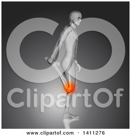 Clipart of a 3d Anatomical Man Stretching a Leg, with Visible Bones and Knee Pain, on Gray - Royalty Free Illustration by KJ Pargeter