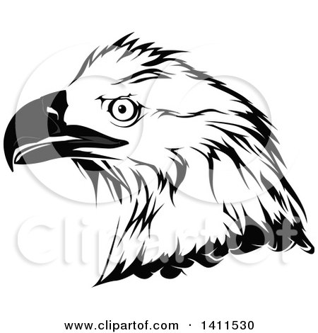 Clipart of a Grayscale Eagle Head - Royalty Free Vector Illustration by dero