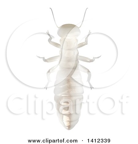 Clipart of a 3d Dampwood Termite Worker from Above - Royalty Free Illustration by Leo Blanchette