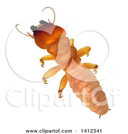 Clipart of a 3d Termite Soldier from Above - Royalty Free Illustration by Leo Blanchette