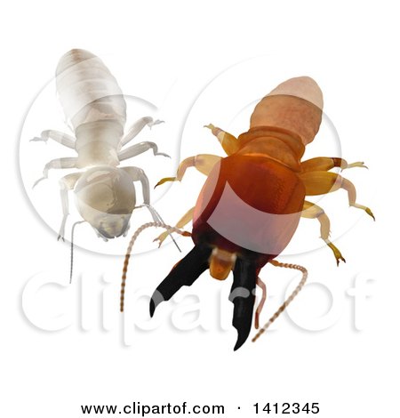 Clipart of a 3d White and Brown Dampwood Termite Soldier and Worker - Royalty Free Illustration by Leo Blanchette