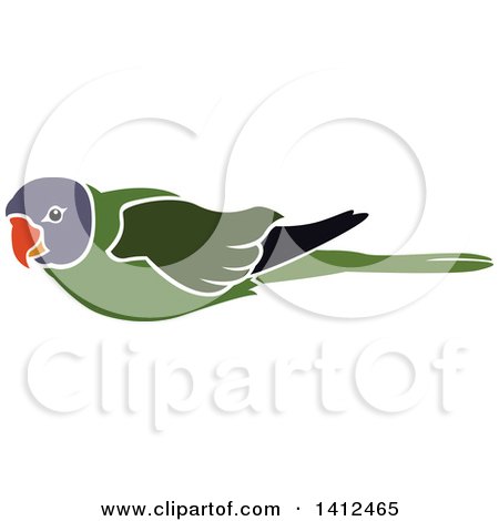 Clipart of a Parrot - Royalty Free Vector Illustration by dero