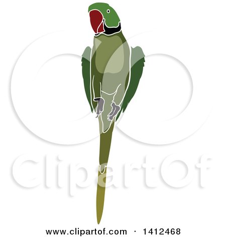 Clipart of a Green Parrot - Royalty Free Vector Illustration by dero